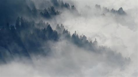 Mais de 2.000 vídeos grátis em HD e 4K de Video e Natureza ...